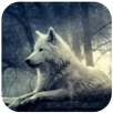 3D Wolf Wallpaper APK