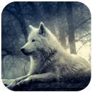 3D Fond d'écran Loup APK