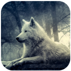 3D Wolf 图标