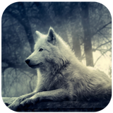 3D Wolf آئیکن