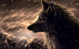 3D Wolf 截图 1