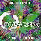 Foragers icon