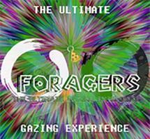 Foragers poster
