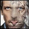 Hybrid Face Maker APK