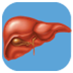 Liver Cancer Risk Assessment