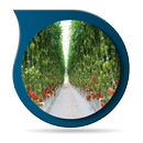 水耕农业的想法 APK