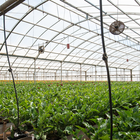 Hydroponics System Design Best and Free icon