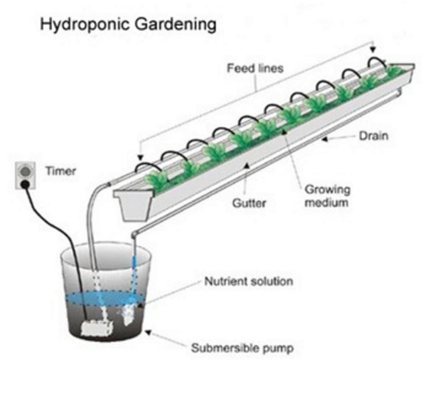 a history and organization of hydroponics Transform your organization by learning the leadership skills and best practices that have made the biltmore name synonymous with quality, hospitality, and innovation. a history and organization of hydroponics Transform your organization by learning the leadership skills and best practices that have made the biltmore name synonymous with quality, hospitality, and innovation.