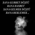GURBET MESAJLARI