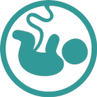 Fertility Calculator ícone