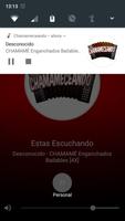 Chamameceando Affiche
