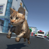 Kitty Cat Rush 3D Game APK