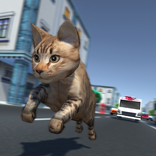 Kitty Cat Rush 3D Game