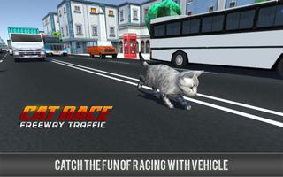 Kitty Cat Rush 3D Game screenshot 1