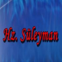 Hz. Süleyman Hayatı imagem de tela 1