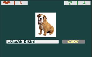 Kids Game For Study : Guess the Name of the Animal ポスター