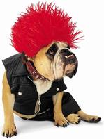 Puppies Costume Ideas screenshot 3