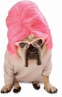 Puppies Costume Ideas screenshot 2