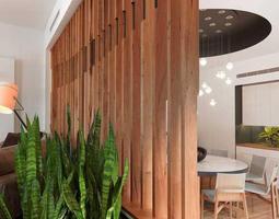 Room Divider Position Ideas Ekran Görüntüsü 1