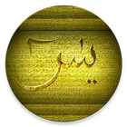 Surah Yaseen icon