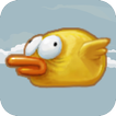 Flying Bird