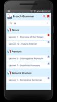 French Grammar in Use captura de pantalla 2