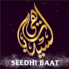 Seedhi Baat Tv icône