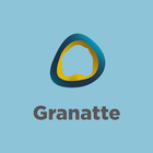 Inmobiliaria Granatte icône