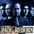 PADI REBORN ไอคอน