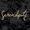 ”Serendipity Treviso