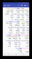 Hebrew/Greek Interlinear Bible Plakat