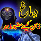 Hafiza Kesy Mazboot ho icon