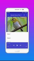 Kicau Burung Pleci 스크린샷 1