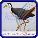 Master Burung Wak Wak Gacor Offline APK