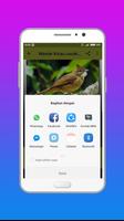 Masteran Suara Burung  Terbaru Lengkap Offline screenshot 3