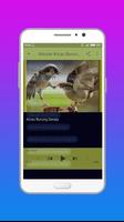 Masteran Suara Burung  Terbaru Lengkap Offline capture d'écran 2