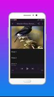 Kicau Burung Decu Terbaru capture d'écran 1