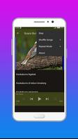 Suara Burung Kookaburra imagem de tela 3
