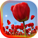 Amazing Tulips live wallpaper APK