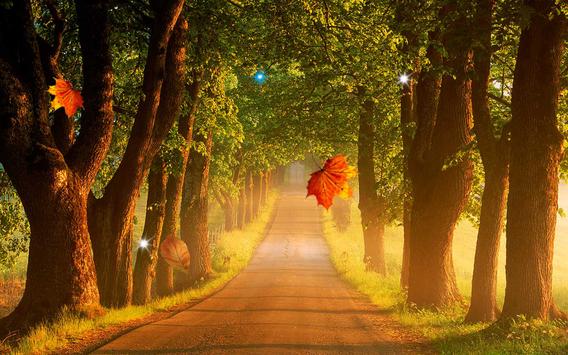 Download Autumn Forest Live Wallpaper Apk For Android Latest Version