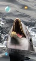 Dolphins Sound live wallpaper Affiche