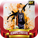 APK Haikyuu Wallpapers HD