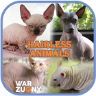 Hairless Animal أيقونة