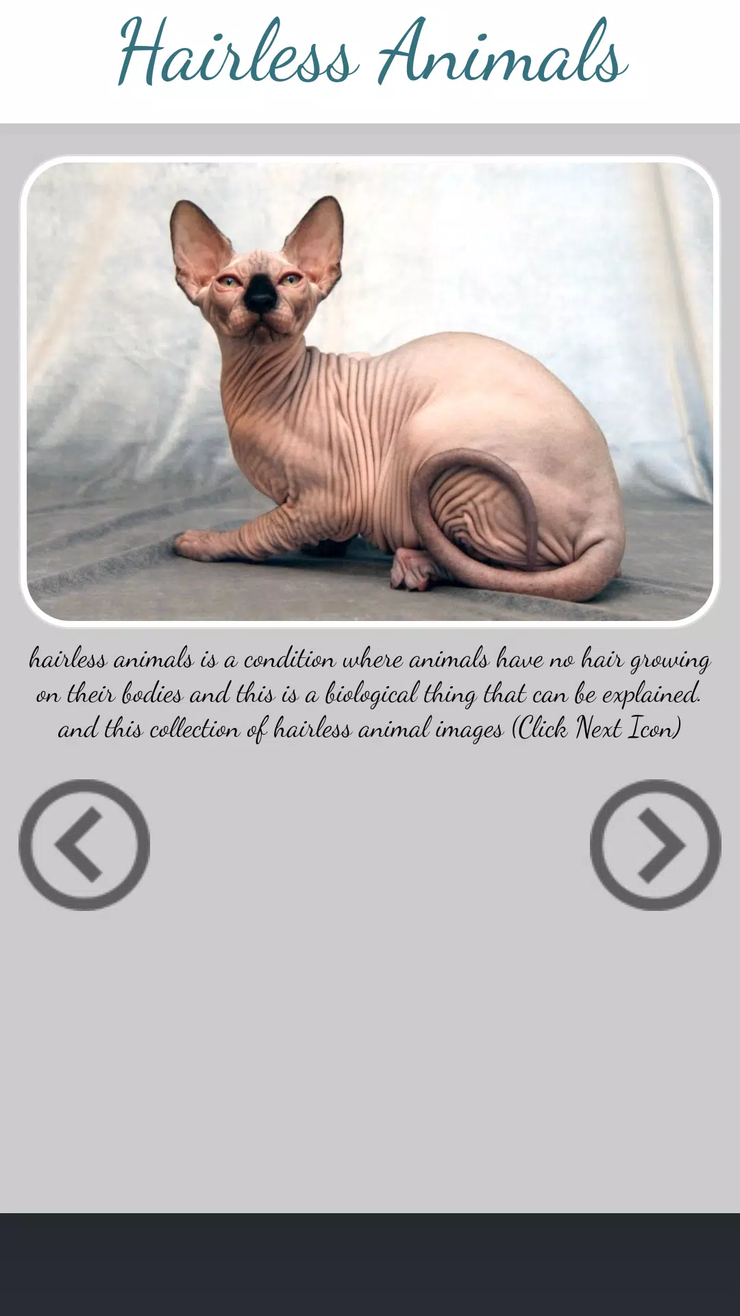 Hairless Animal APK for Android Download Hairless Animal APK for Android Download