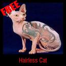 Hairless Cat APK