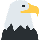 Catch The Eagle APK