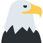 Catch The Eagle icon