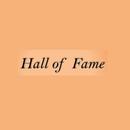 Hall of Fame Lyrics The Script aplikacja