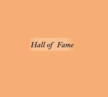 Hall of Fame Lyrics The Script 海报