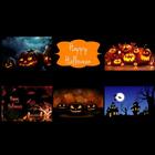 Halloween Wallpapers HD 2015 أيقونة